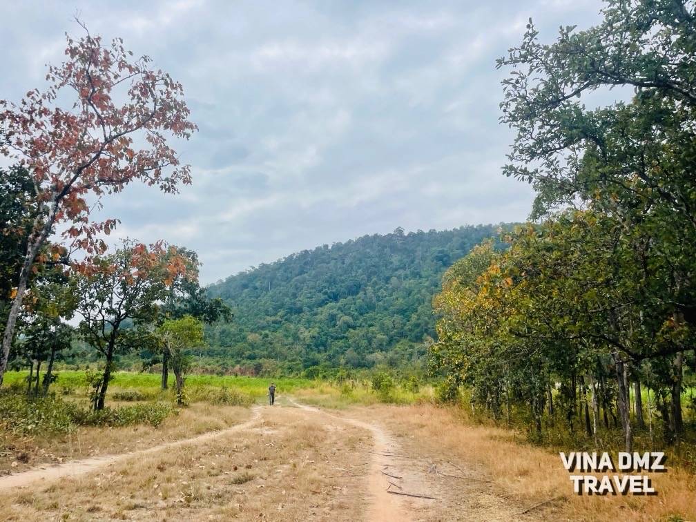 Private DMZ tour Vietnam